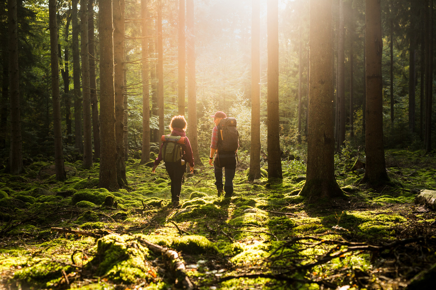 Two persons hiking in the forest